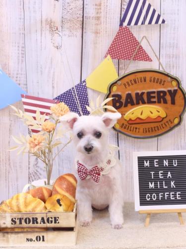 20240928ヒメちゃん